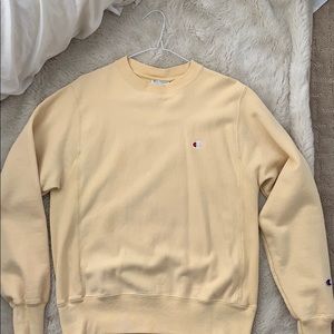 Champion Sweater